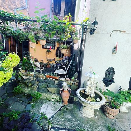 시기쇼아라 Casa Morar 아파트 외부 사진